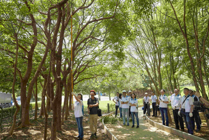 藝師教導大家認識樹木、檢查樹的健康狀況，學習修枝及碎枝覆土